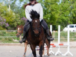 IMG_0505_web